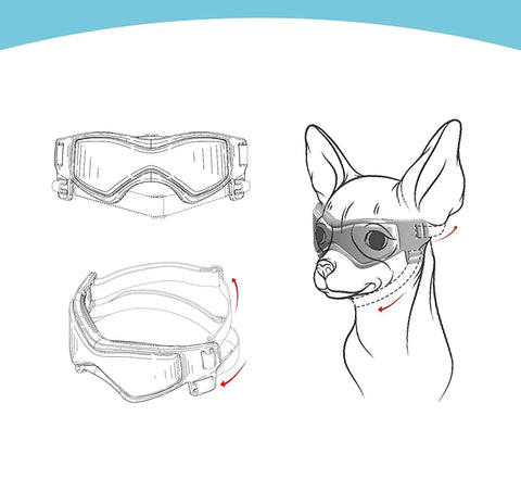 Óculos de Proteção para Pets