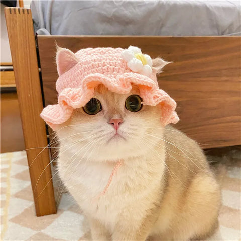 Chapéu Tricotado para Pets